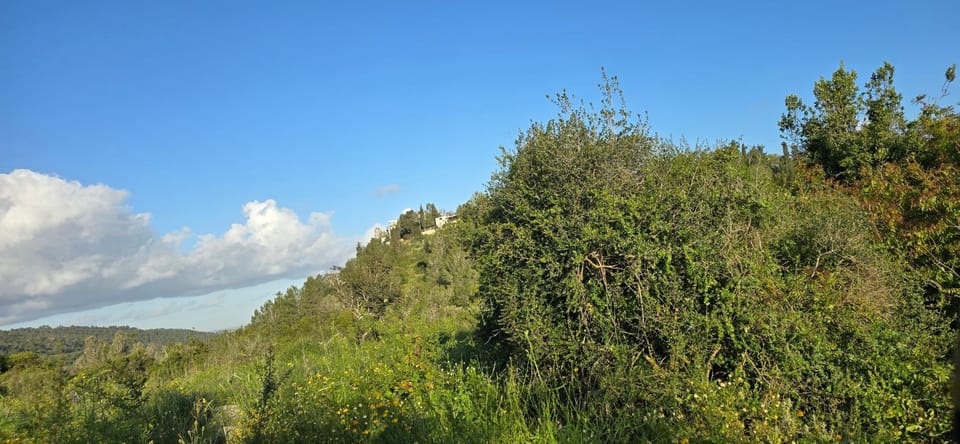 Natural landscape
