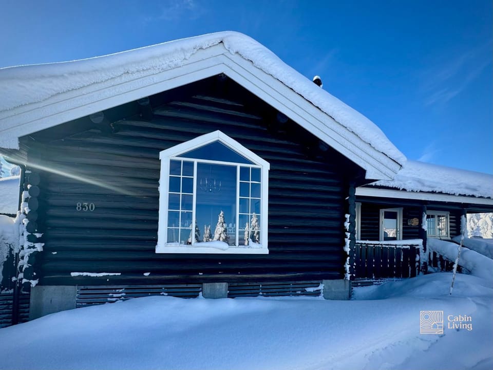 Property building, Day, Winter, Skiing