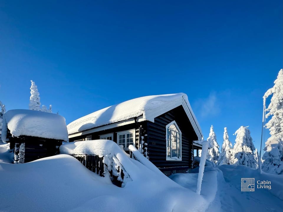 Property building, Day, Winter, Skiing