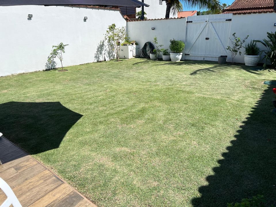 Day, Garden, Garden view