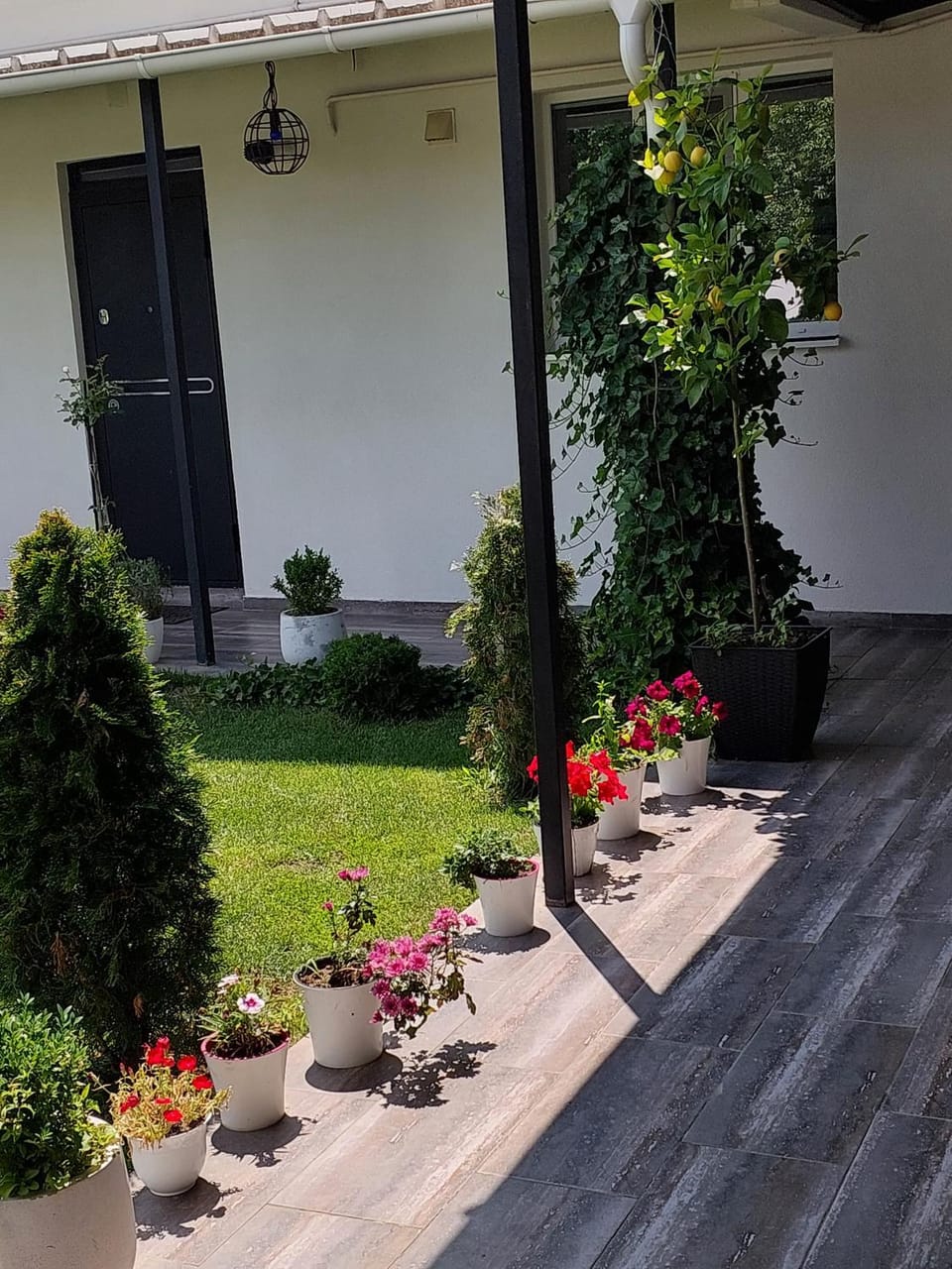 Dennis Guesthouse Cahul Apartment in Moldova