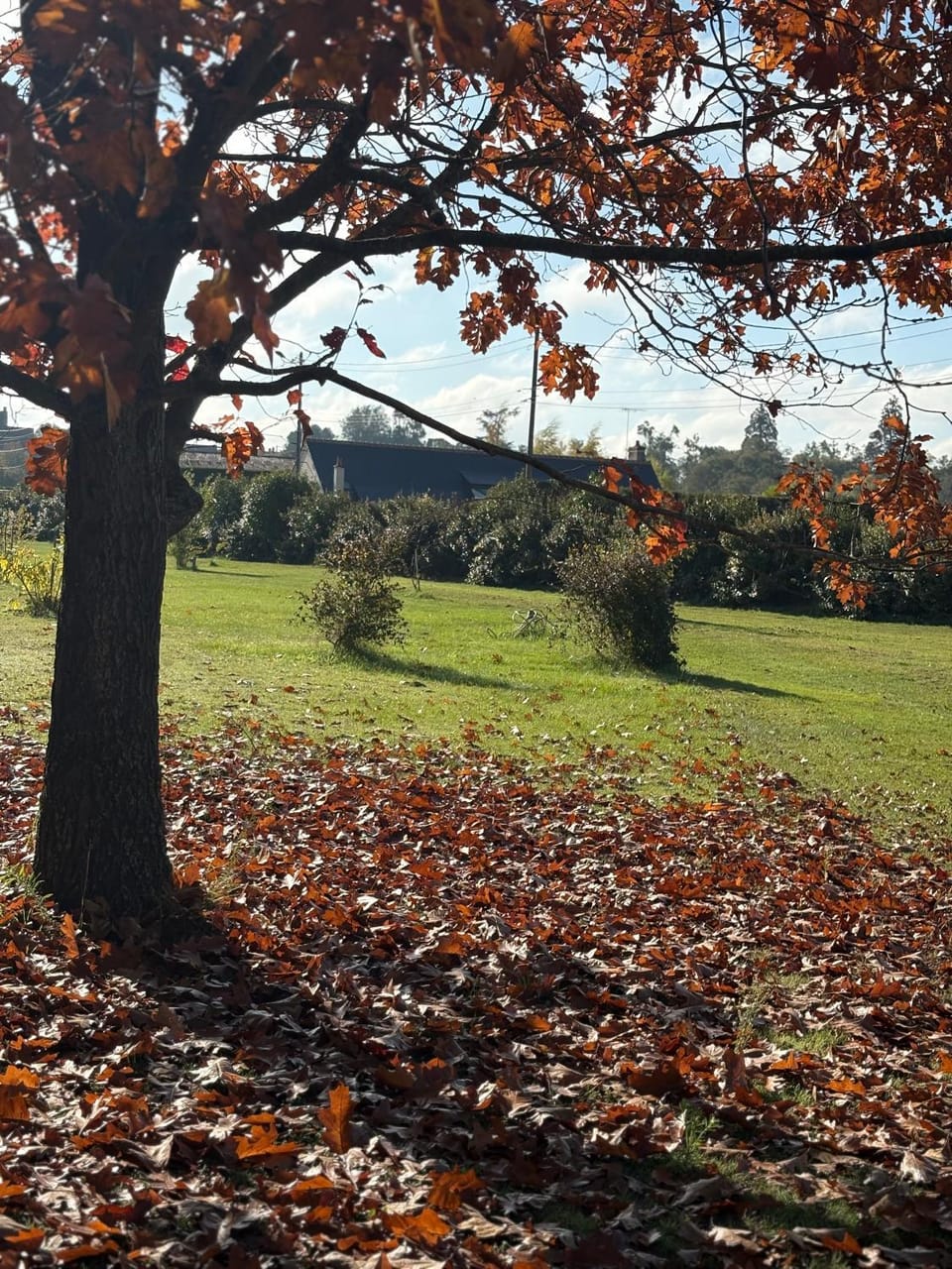 Le Val Cosy Bed and Breakfast in Centre-Val de Loire