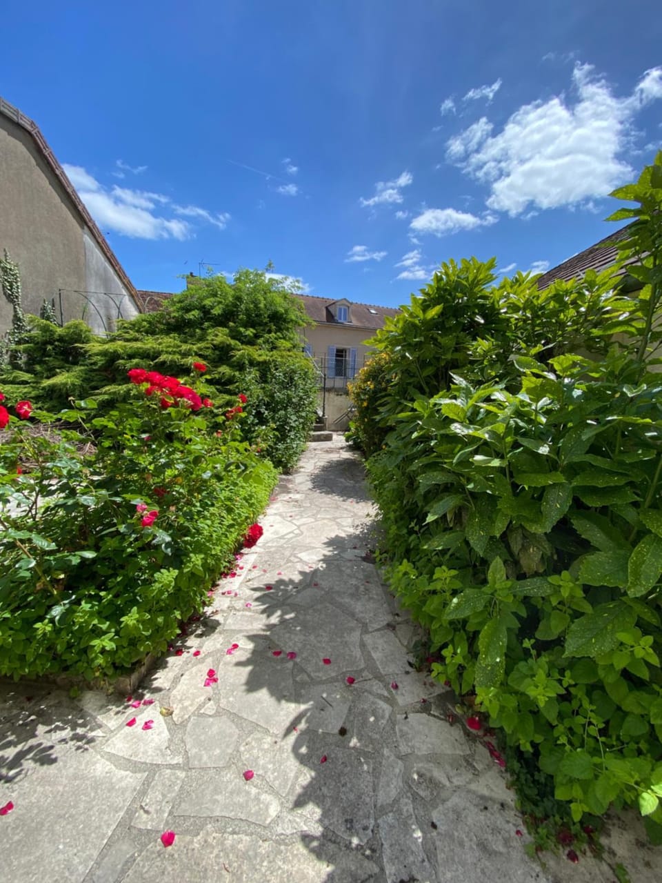 Garden, Garden