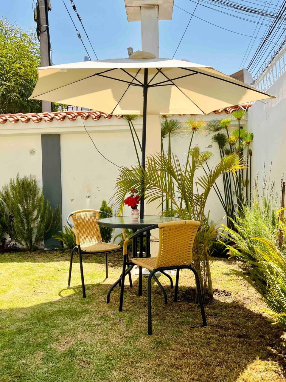 Garden