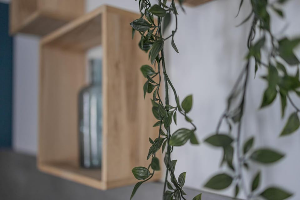 Zsolnay kuckó Apartment in Hungary