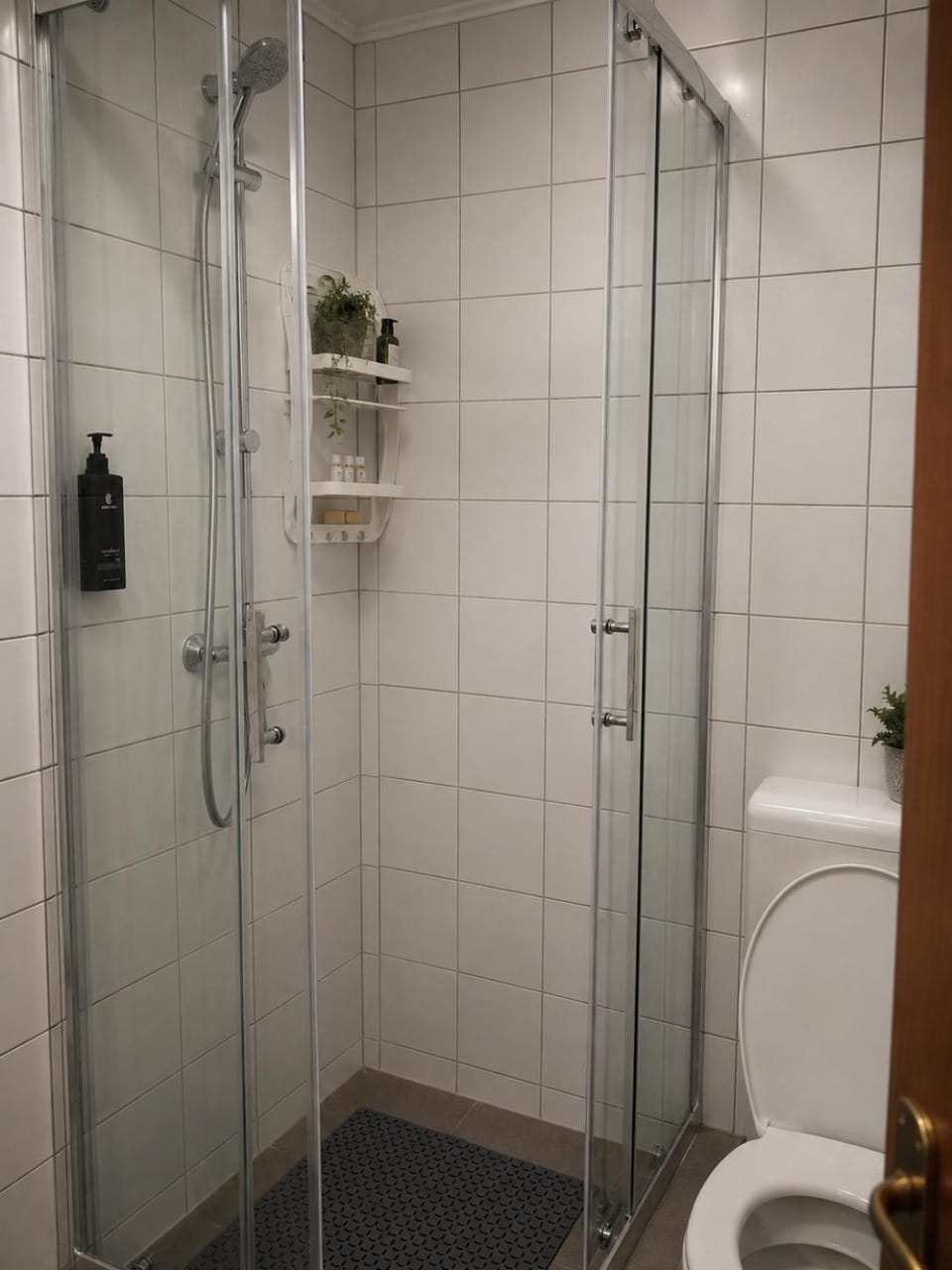 Silver Airport Parking & Apartments Bed and Breakfast in Budapest