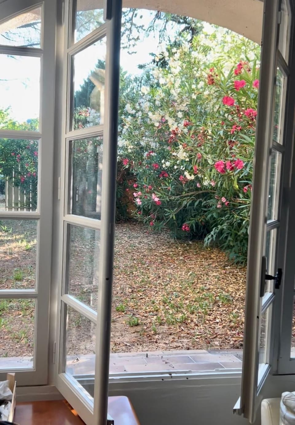 View (from property/room), Garden view