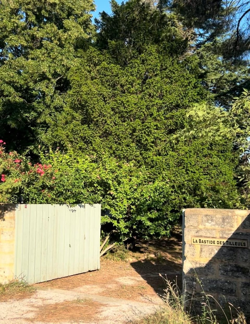 Facade/entrance, Day, Garden