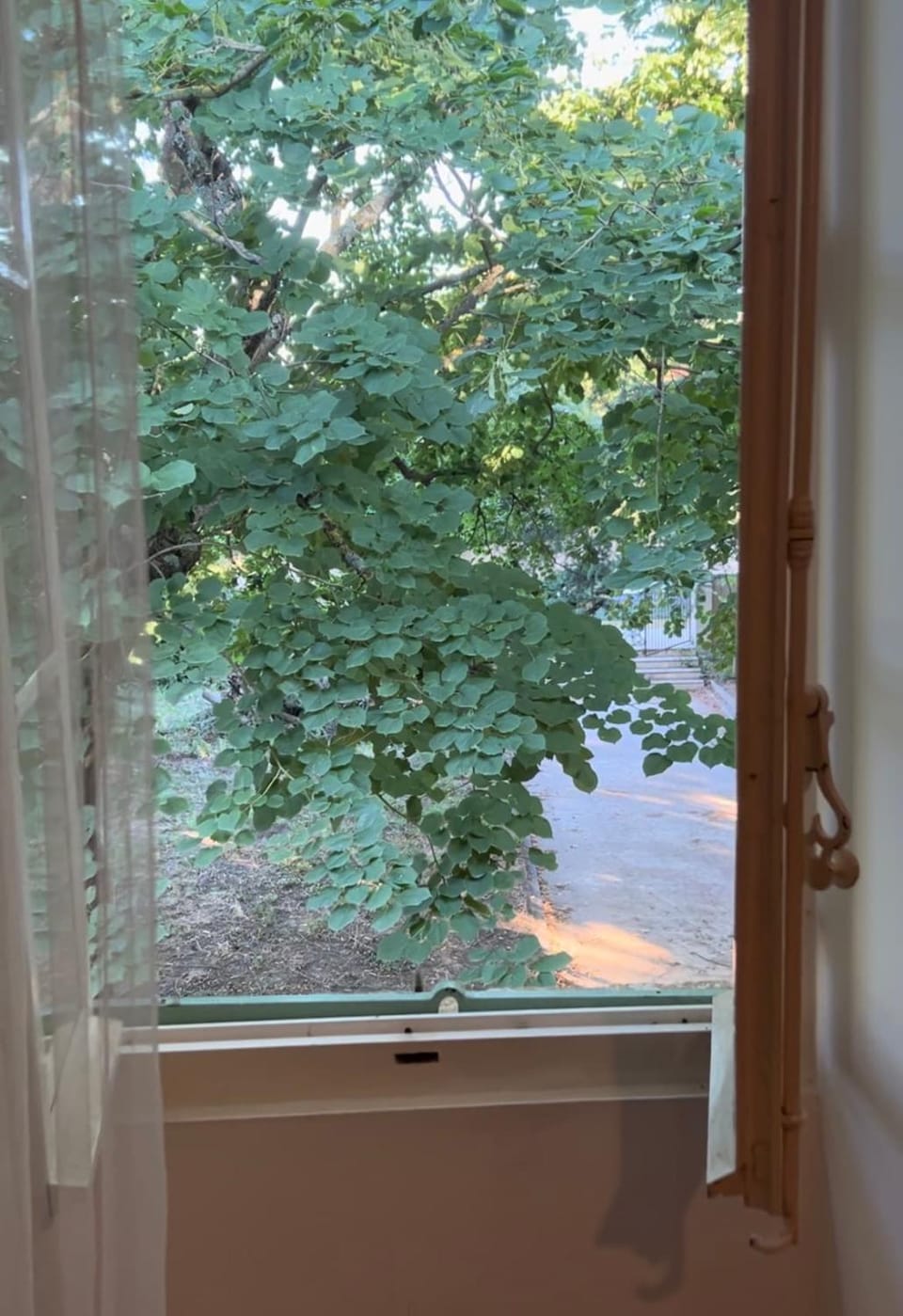 Garden, Garden view