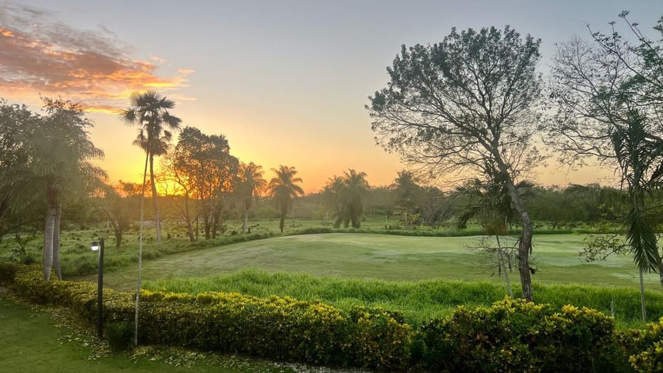 Natural landscape, Golfcourse, Garden view