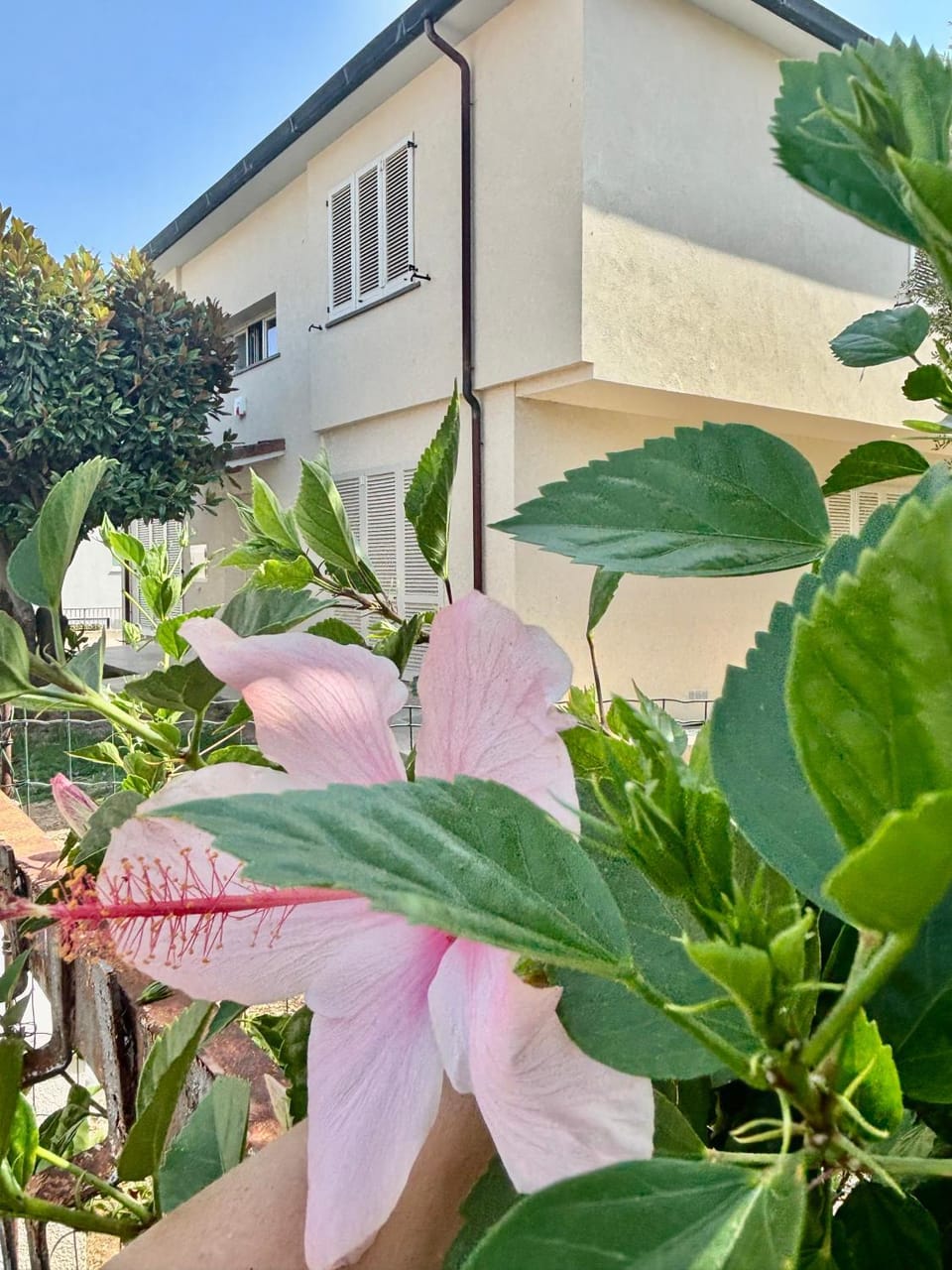 VILLA ILARI- Appartamento RIVO tra MARE e TERME Apartment in Venturina Terme