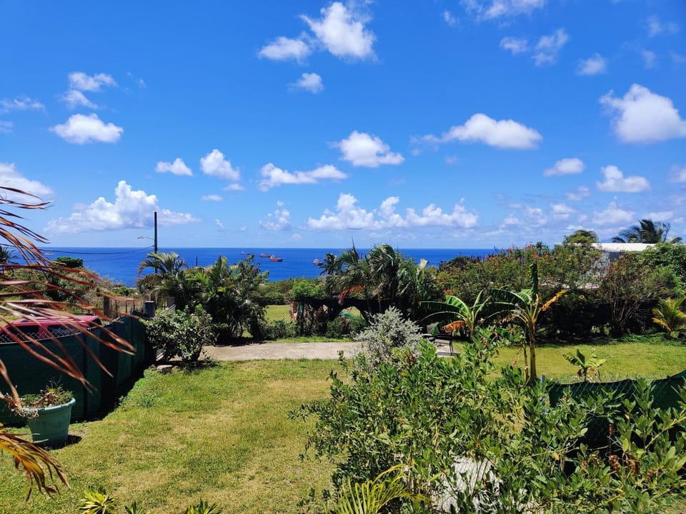 Natural landscape, Garden, Garden view, Sea view