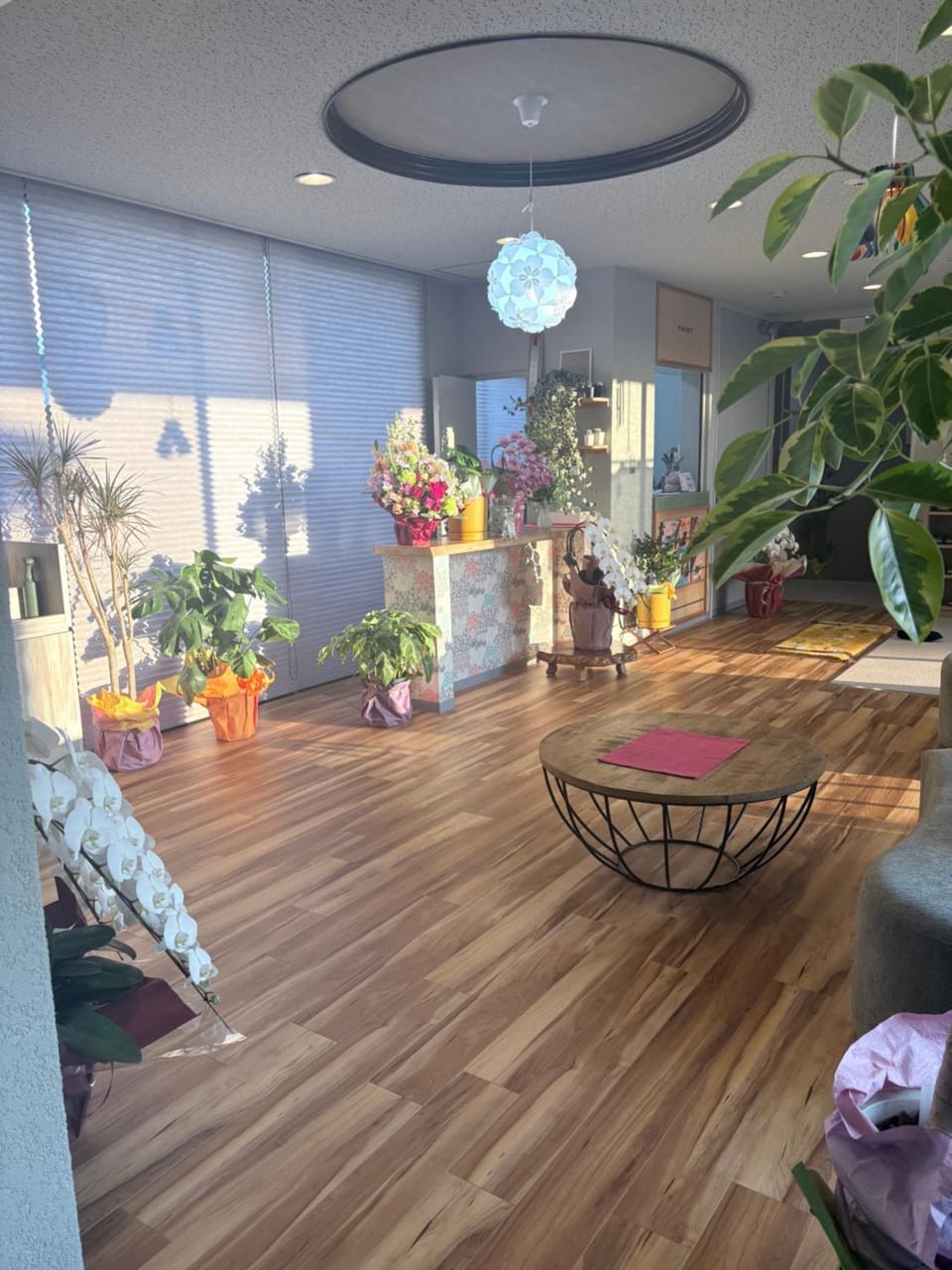 Guesthouse NanairoDougoなないろゲストハウス Bed and Breakfast in Japan