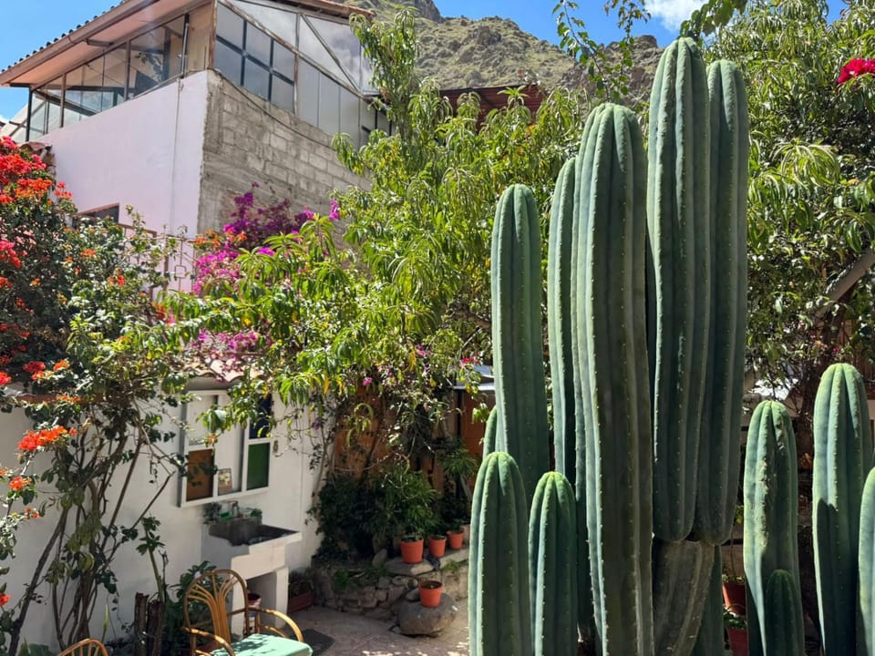 Garden, Garden view