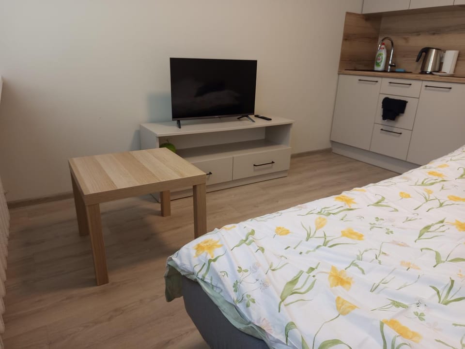 VilniusOldTownStudio Apartment in Vilnius