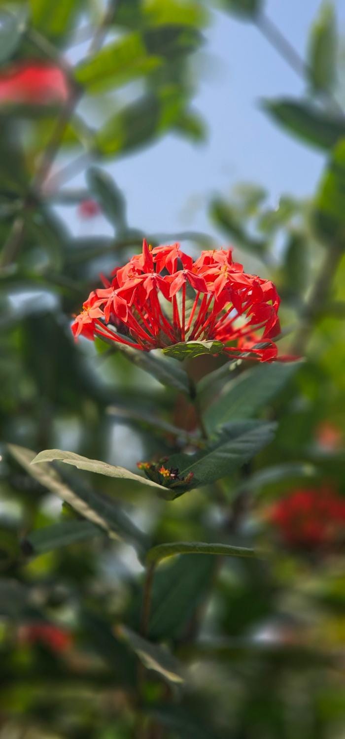 YR'S Nature Farmhouse Farm Stay in Maharashtra