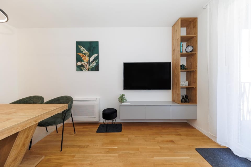 TV and multimedia