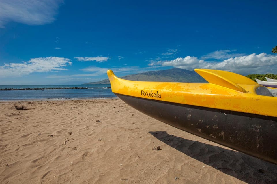 Kihei Bay Surf #253 Studio Amazing Sunsets, Near Beach, Shared Hot Tub, Great Rates Apartment in Kihei