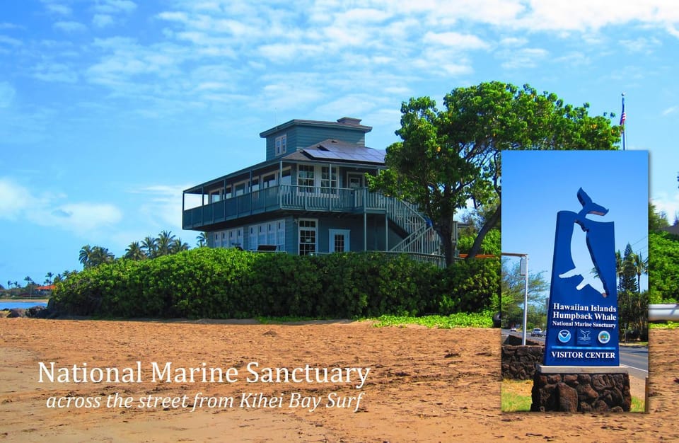 Kihei Bay Surf #253 Studio Amazing Sunsets, Near Beach, Shared Hot Tub, Great Rates Apartment in Kihei