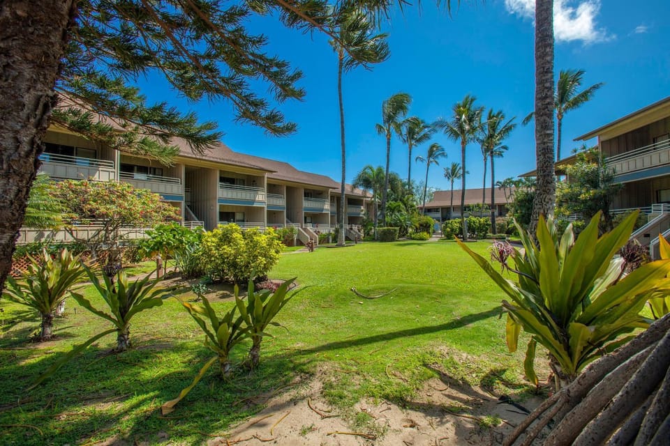 Kihei Bay Vista #A-102 Across From The Beach, A/C throughout Great Rates Apartment in Kihei