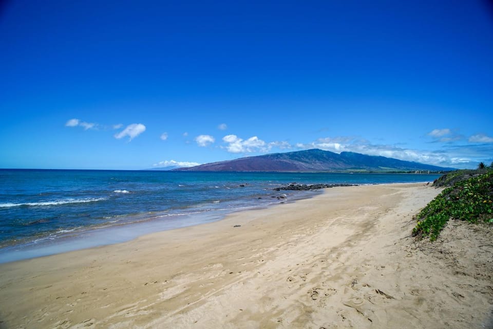 Kihei Bay Vista #A-103 Ocean View, Near Beach, A/C and Fans, Great Rates Apartment in Kihei