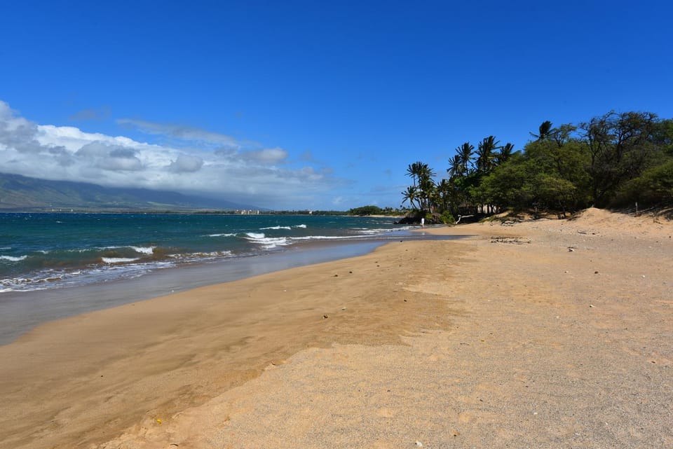 Kihei Bay Vista #A-201 Ocean View, Steps From Beach, Wifi, A/C Great Rates Apartment in Kihei