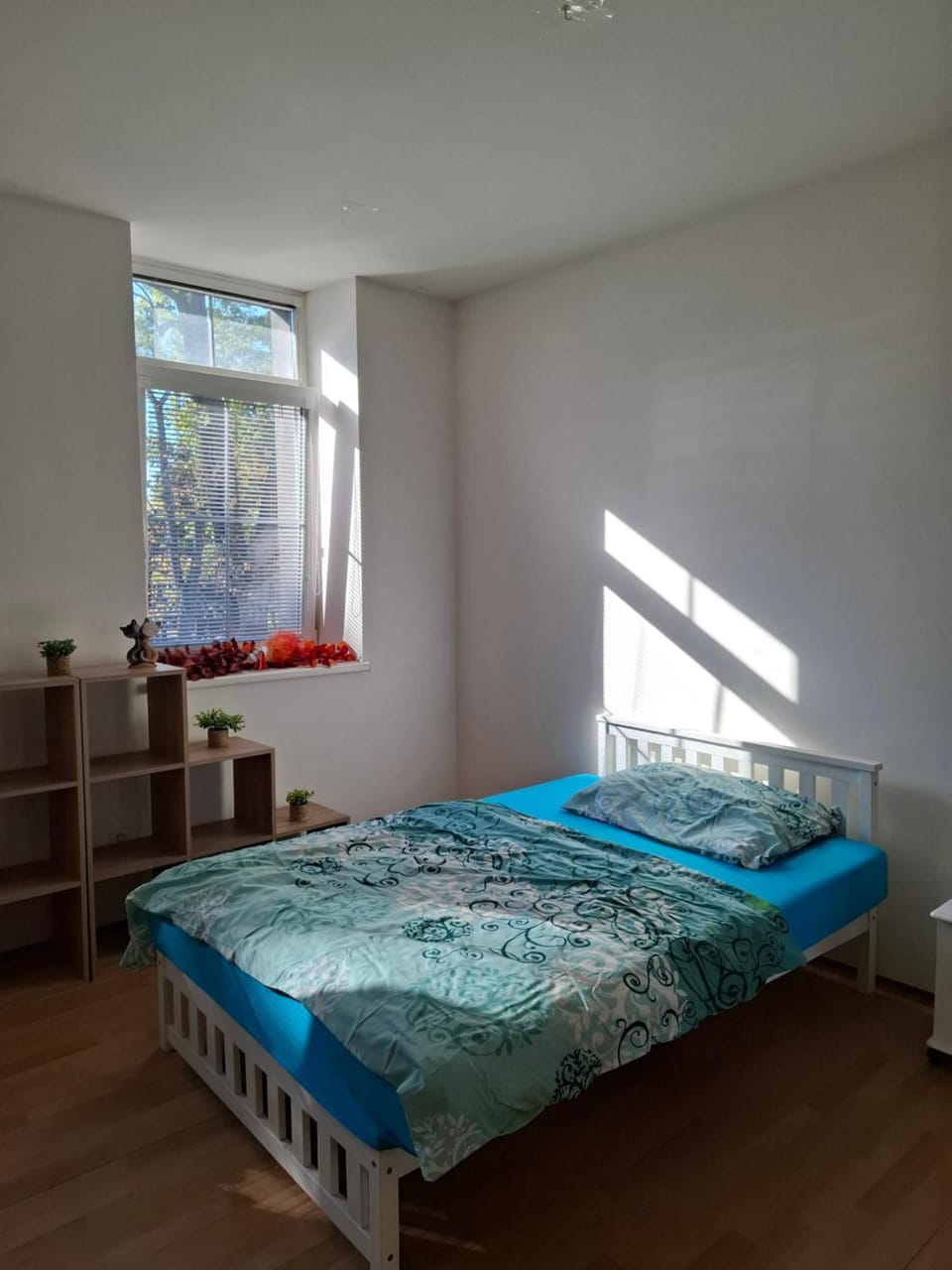 Apartmán u parku House in Czechia