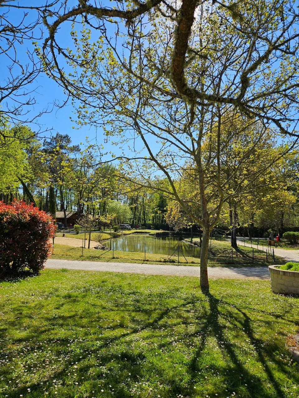 Lake view
