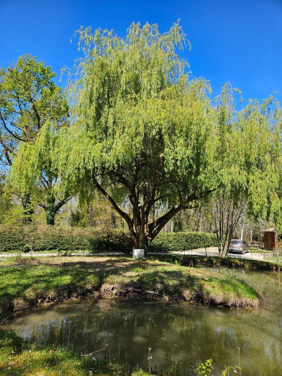 Natural landscape