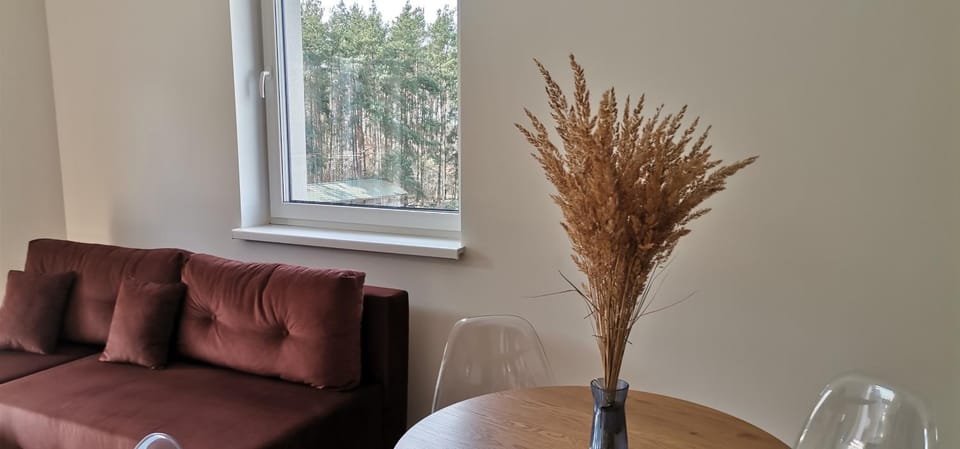 Mieszkanie wakacyjne - Rybno Apartment in Poland