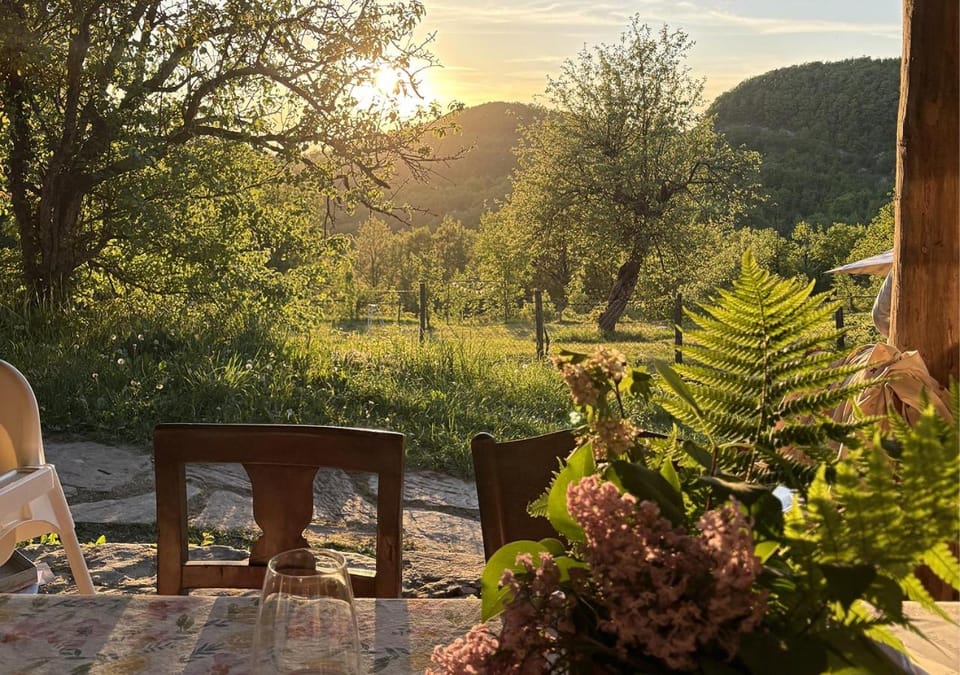 View (from property/room)