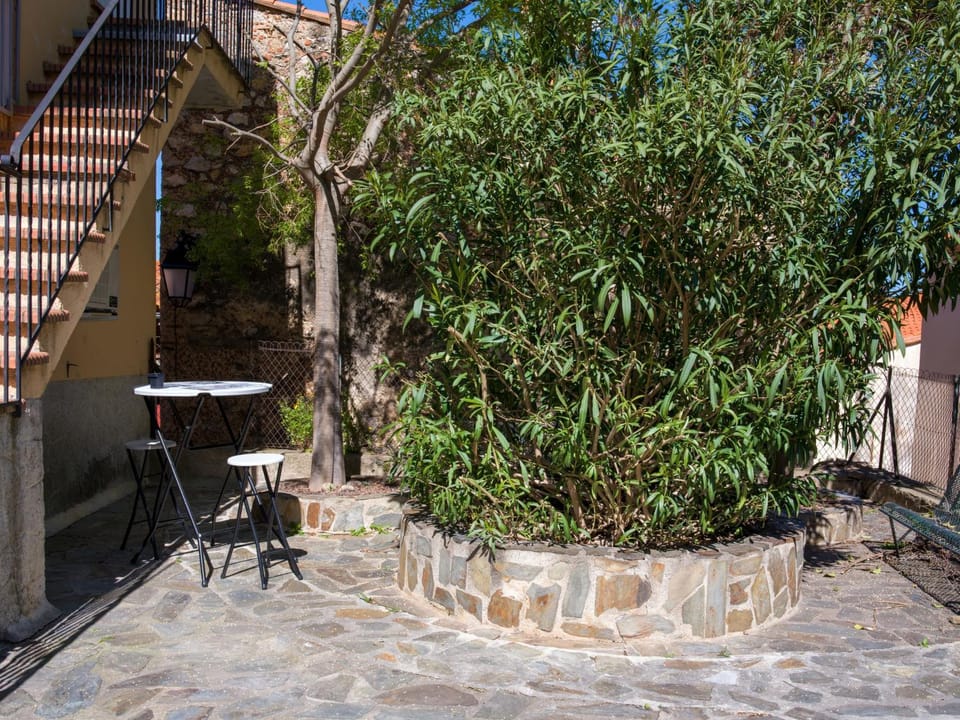 Appart cathare et l'olivier Apartment in Occitanie