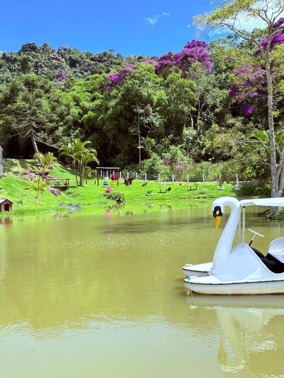 Lake view