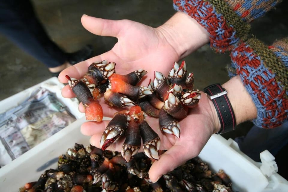 Langosteira Beach, spacious apartment Apartment in Fisterra