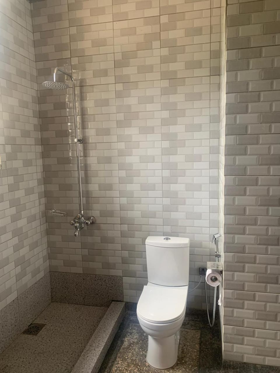 Shower, Toilet, Bathroom, bidet