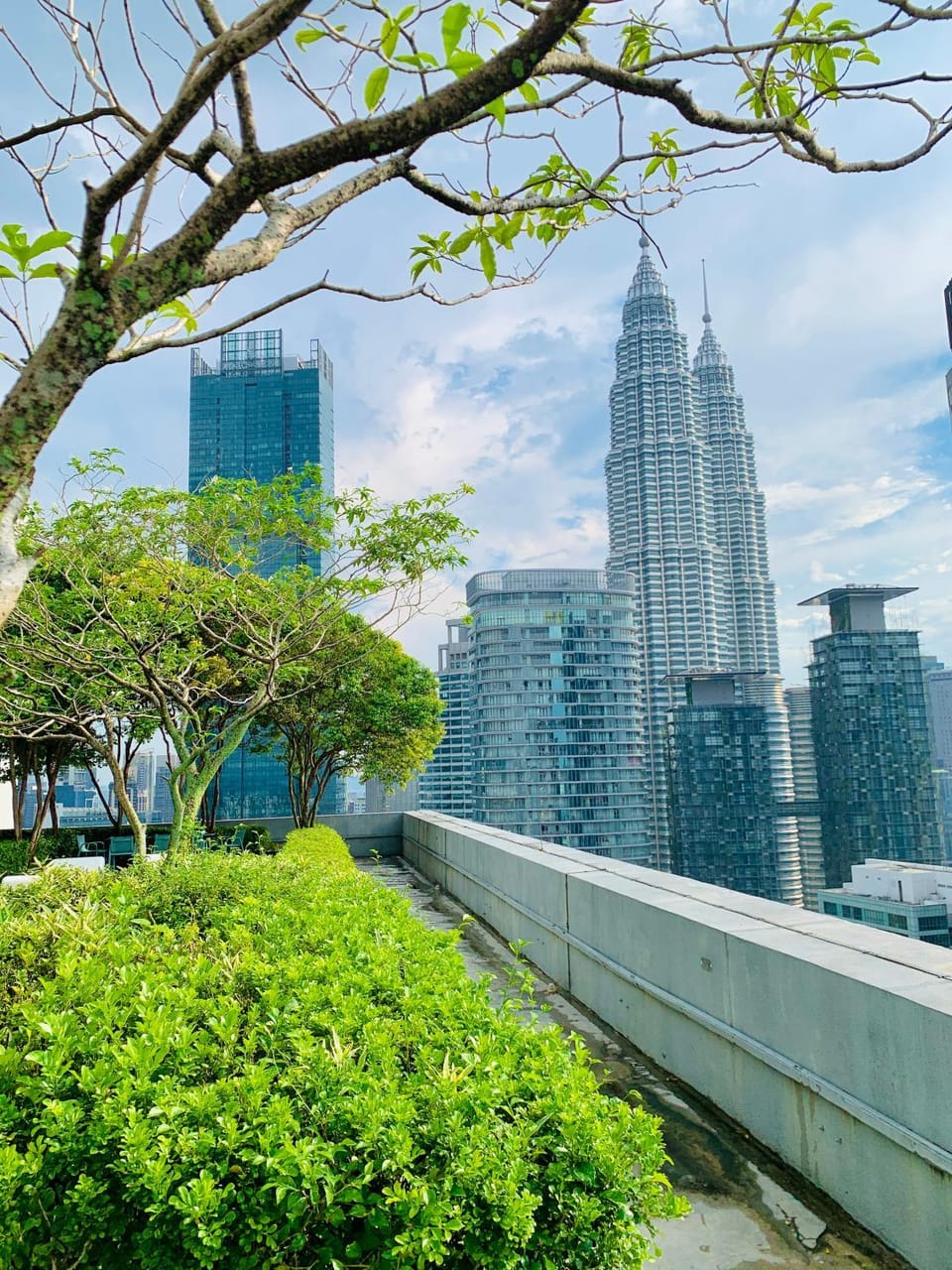 Property building, Garden, City view
