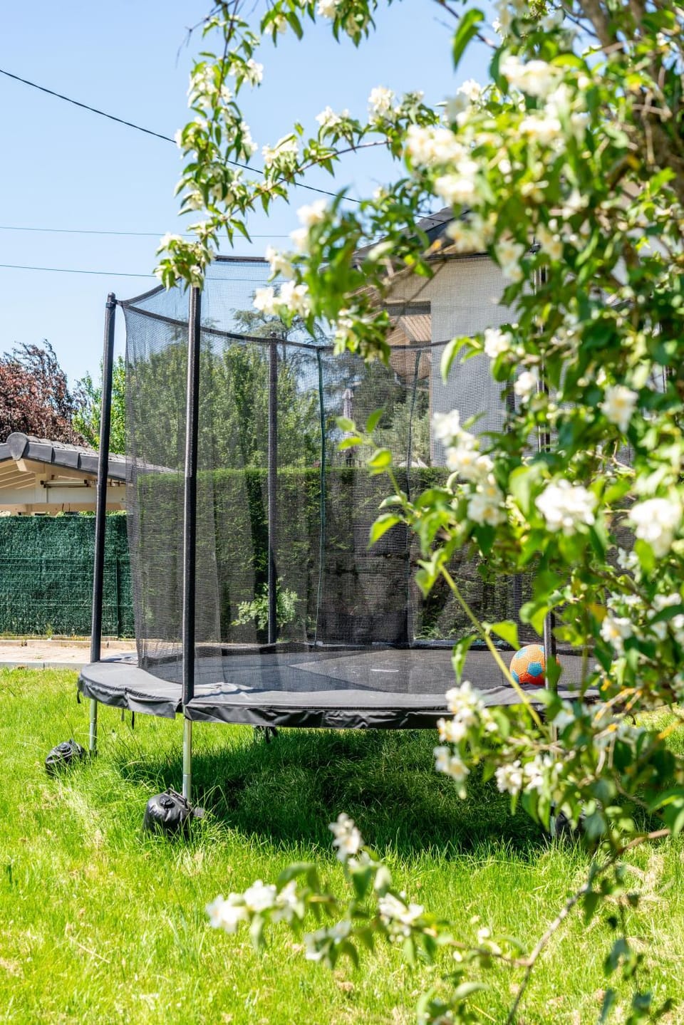 Natural landscape, Garden, Garden view