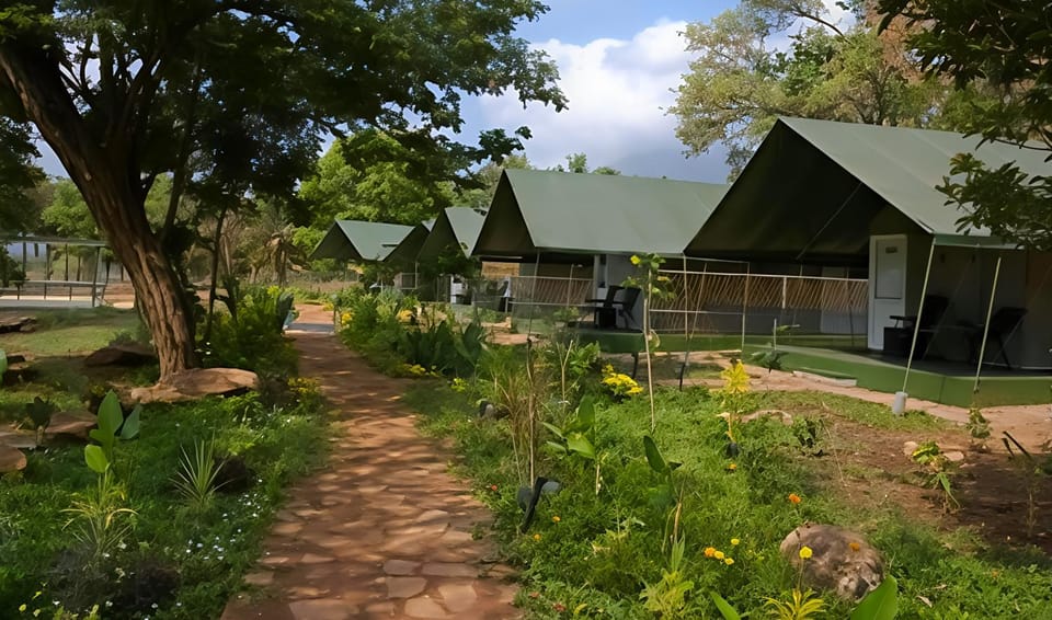 Camp Sethumadai Luxury tent in Tamil Nadu