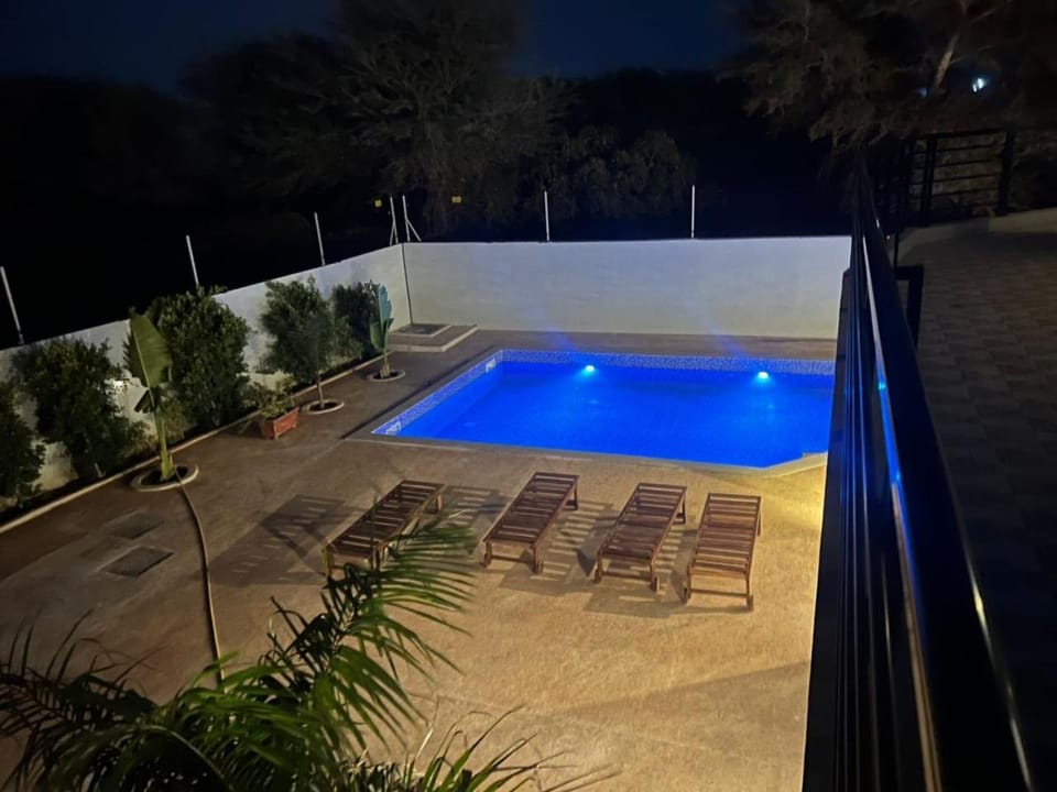 Night, Pool view, Swimming pool, sunbed