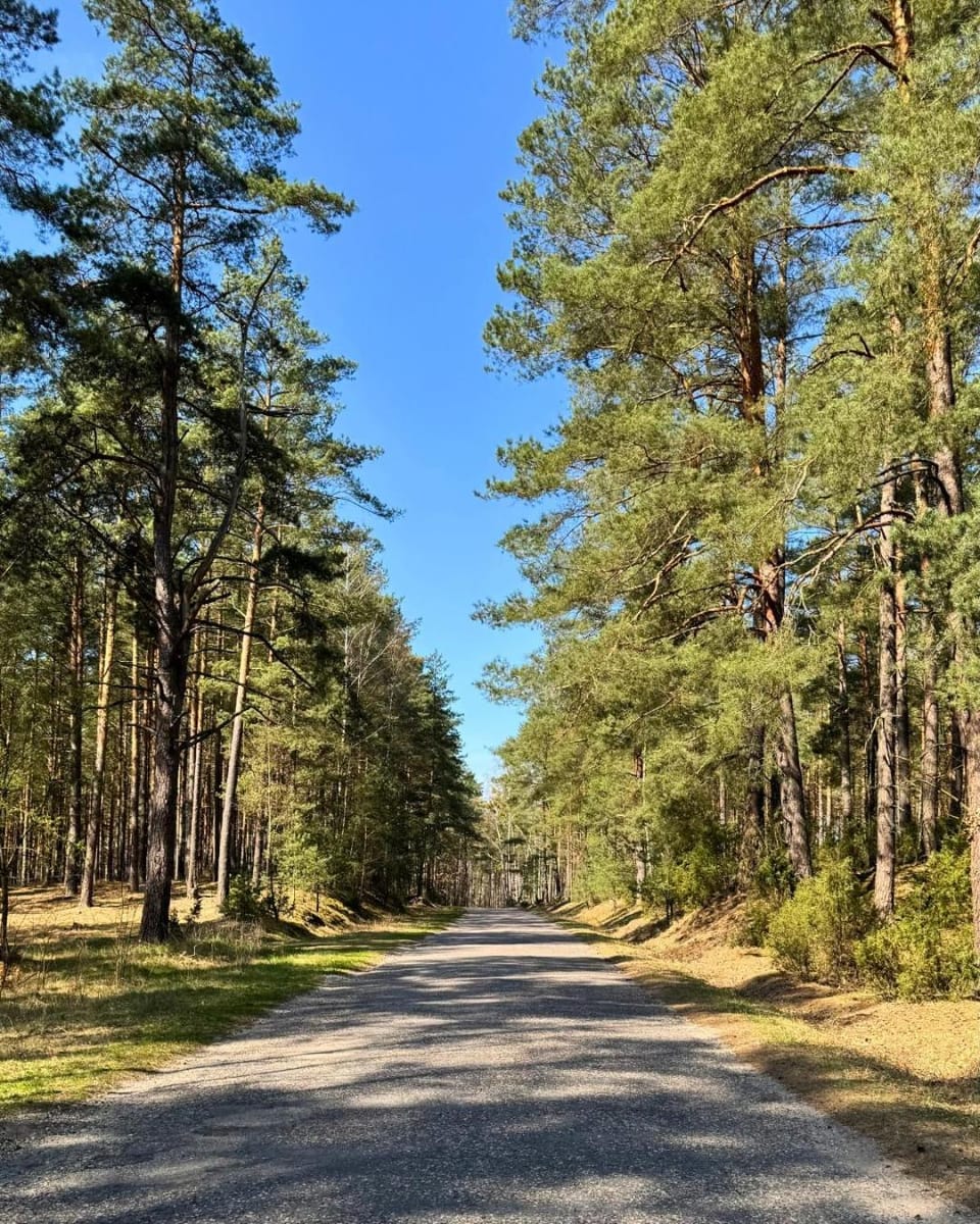 Mazurska Baza Vacation rental in Poland