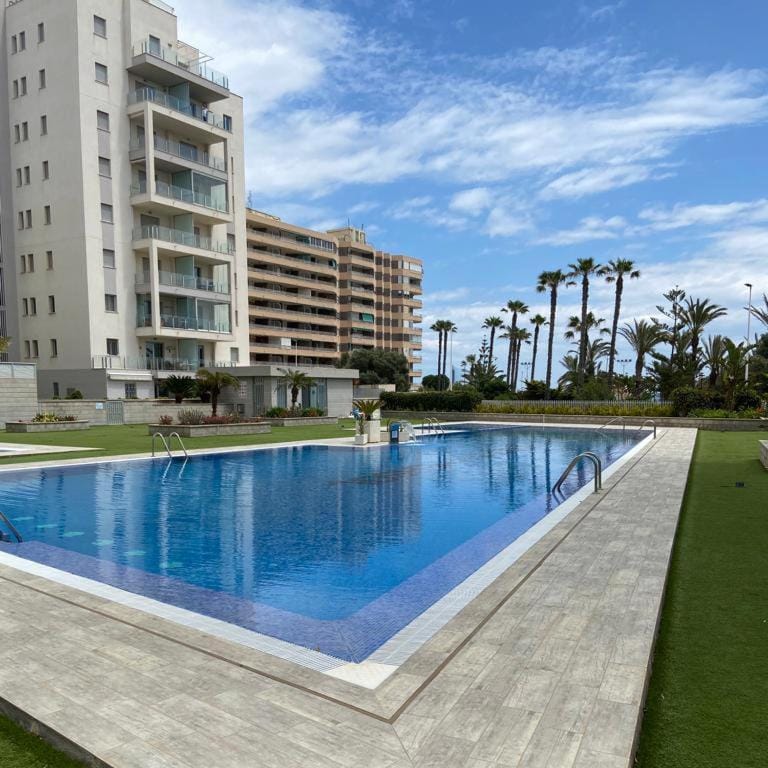 Day, Pool view, Swimming pool