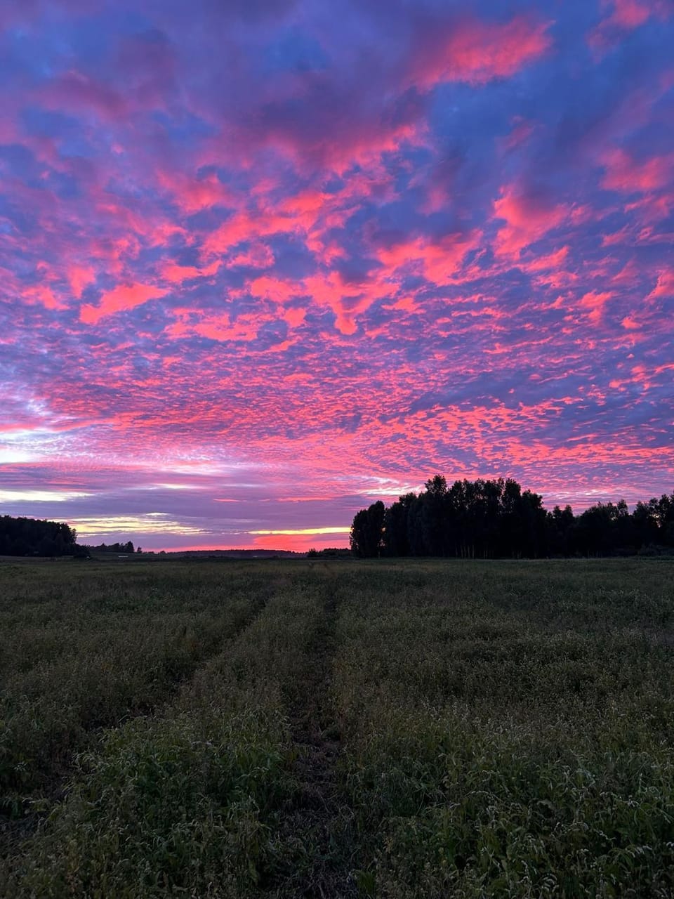 Atpūtas vieta Friči Campground/ 
RV Resort in Latvia