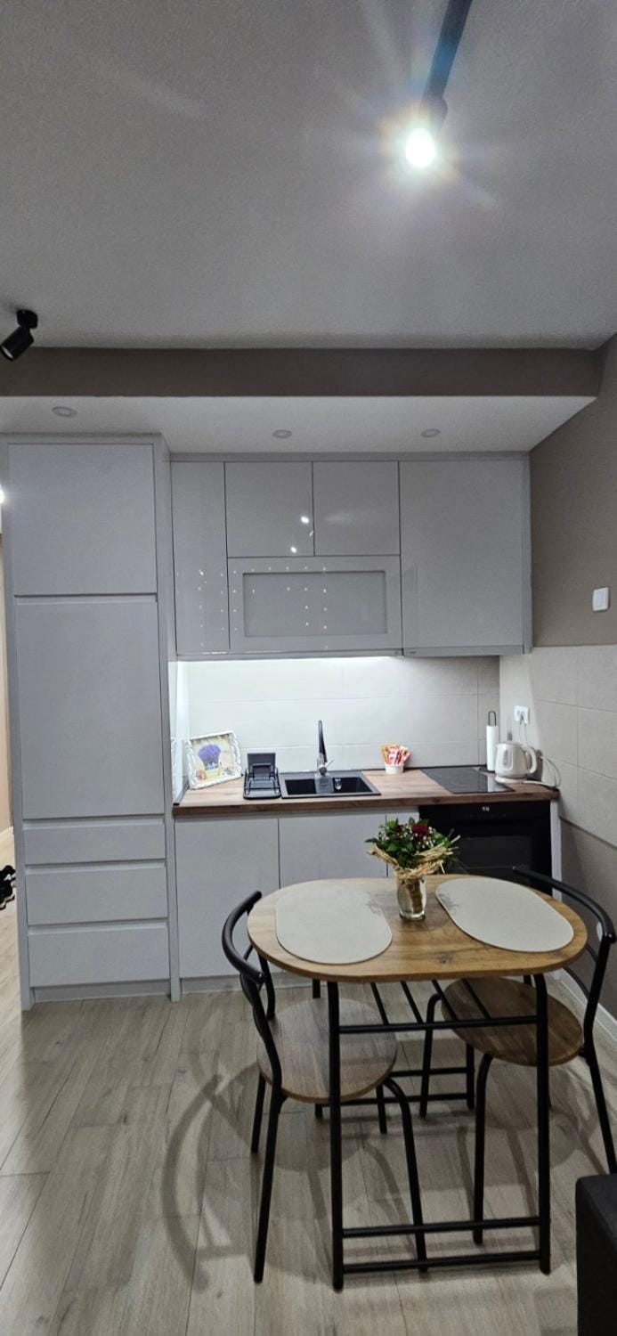 Apartman Filip Apartment in Serbia