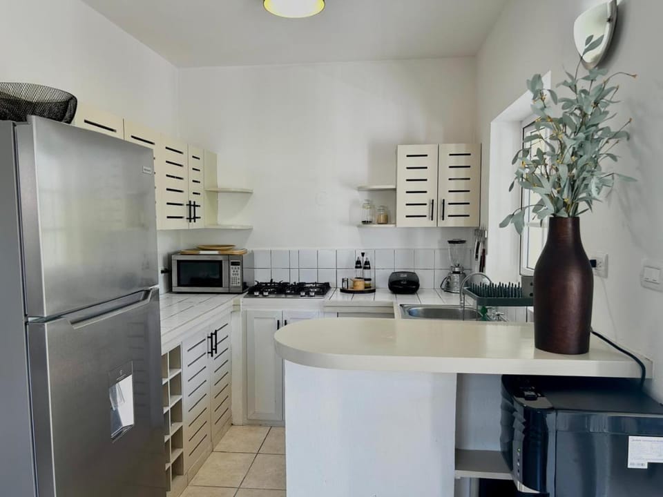 Punta Poppy Beachfront Apartment in Las Terrenas