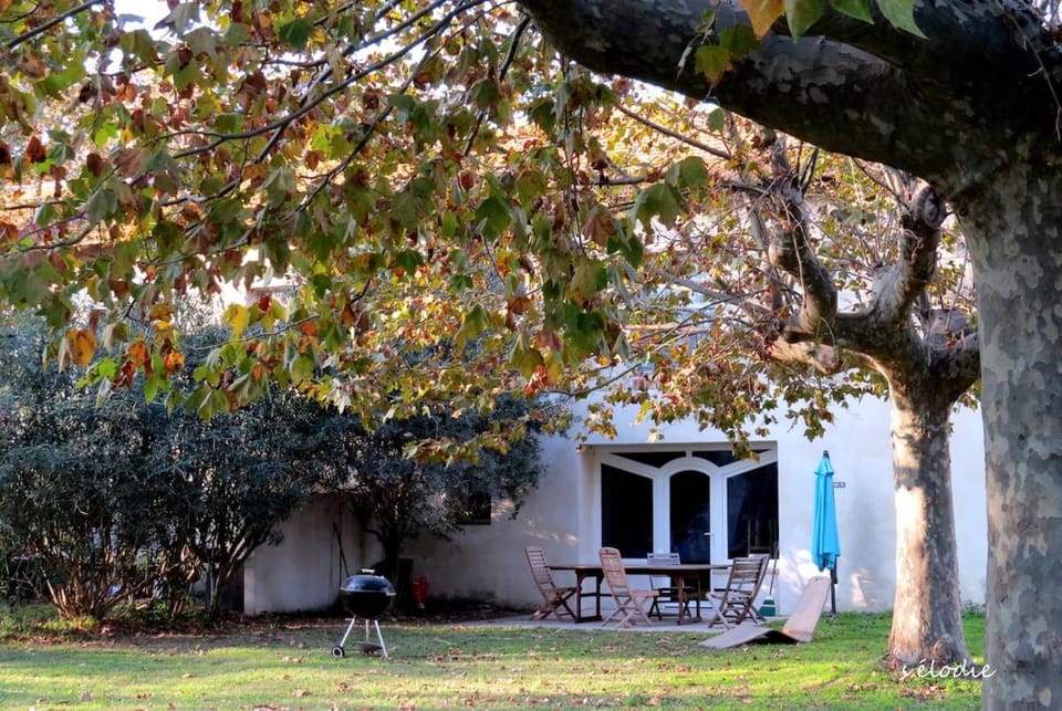 La FENIERE, Gite du Mas de la Vigne in Camargue House in Arles