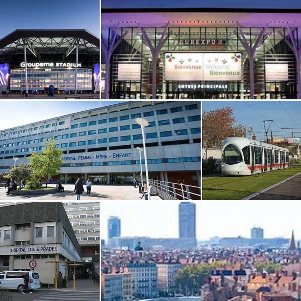 Le jardin d'Eden Bambou- Tramway à 1 min Hôpitaux Est-Eurexpo -Groupama Stadium-Parking gratuit-Climatisé Apartment in Villeurbanne