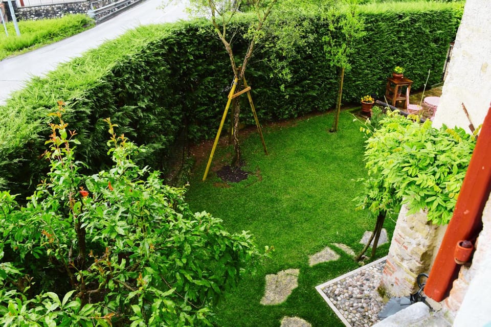 Garden, Garden view, Inner courtyard view