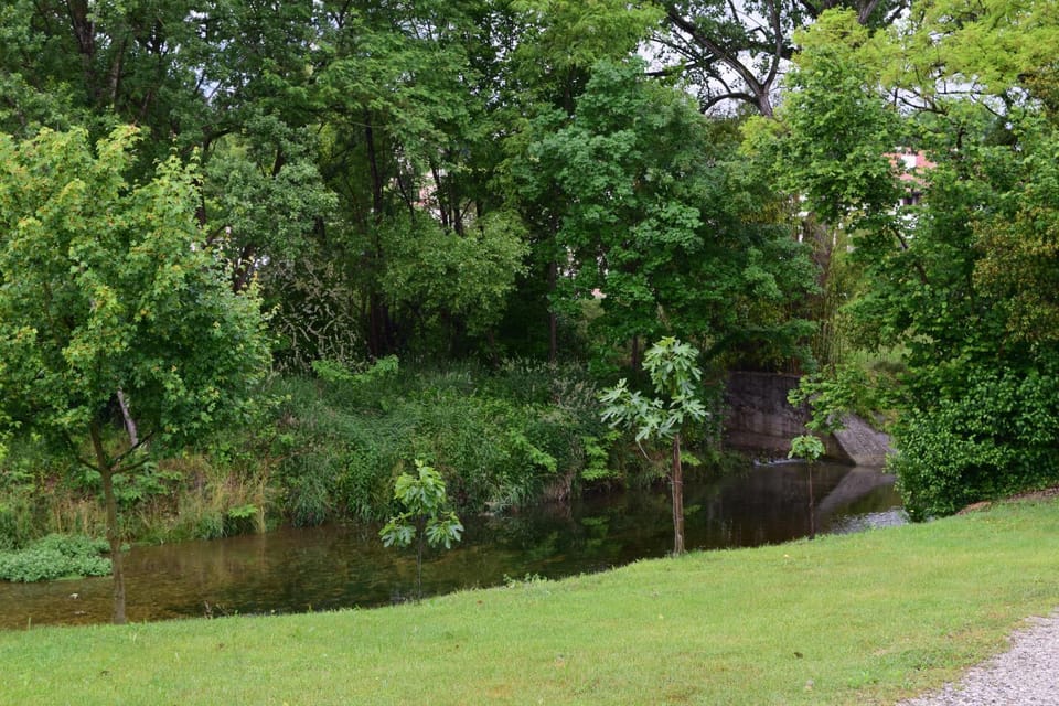 Garden, River view