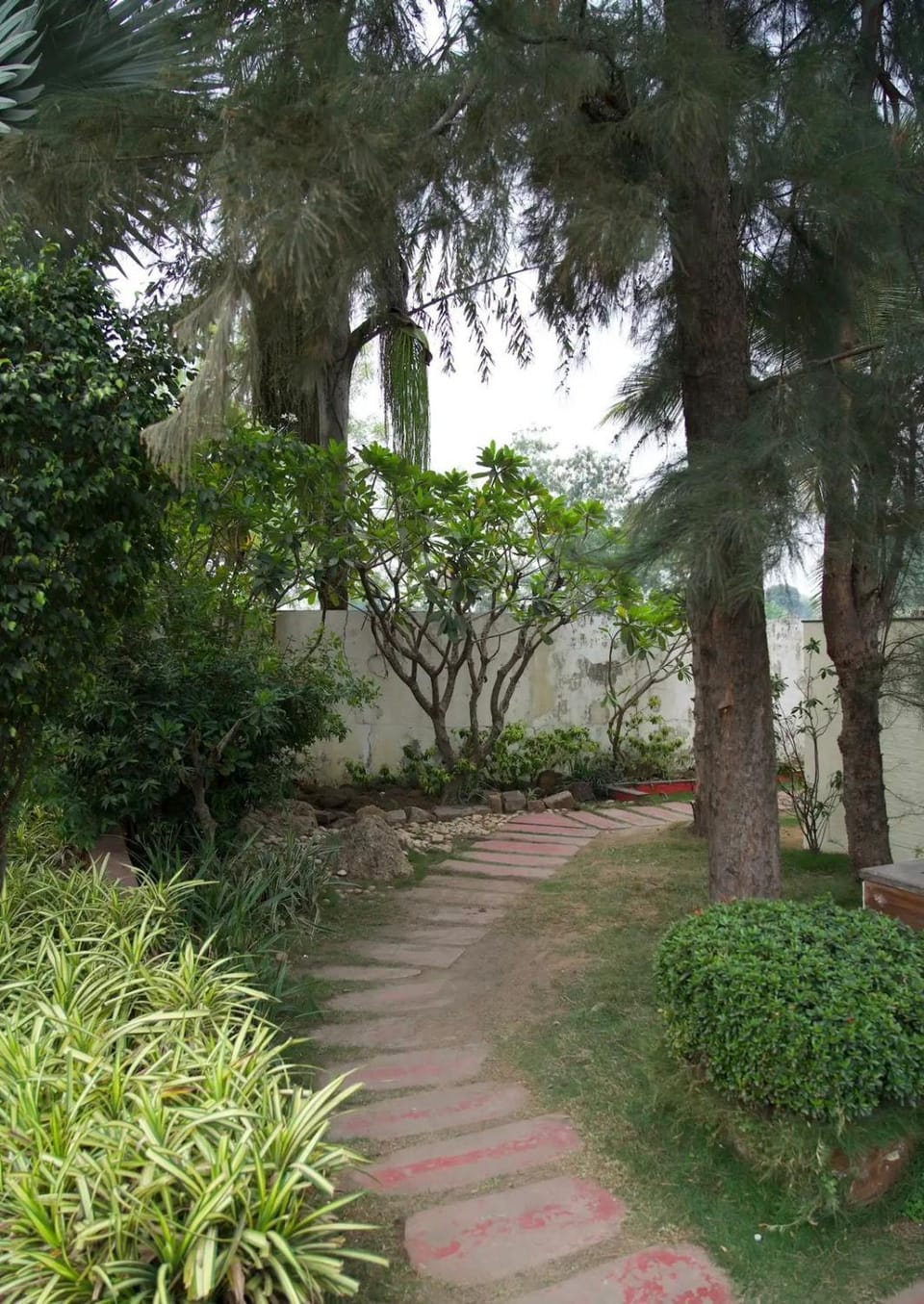 Natural landscape, Garden, Garden view