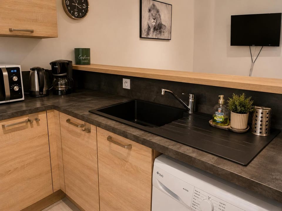 Lourdes en famille, appartement entre gare et sanctuaire à pied Apartment in Lourdes
